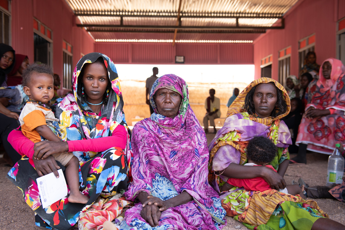 the women of tigray