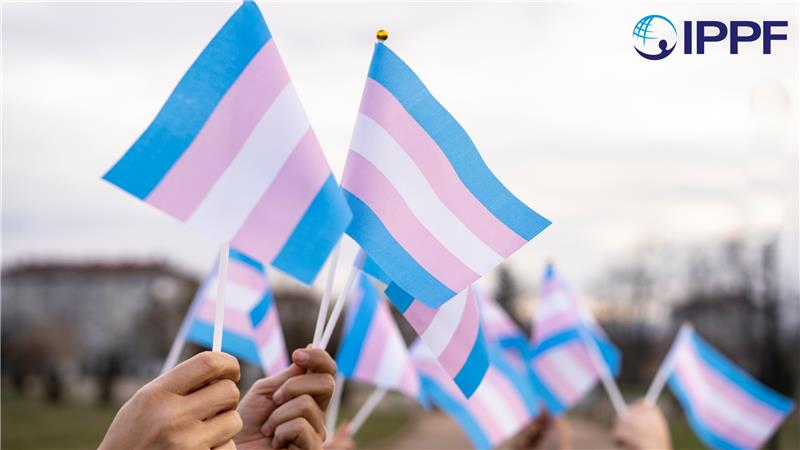 Transgender flag