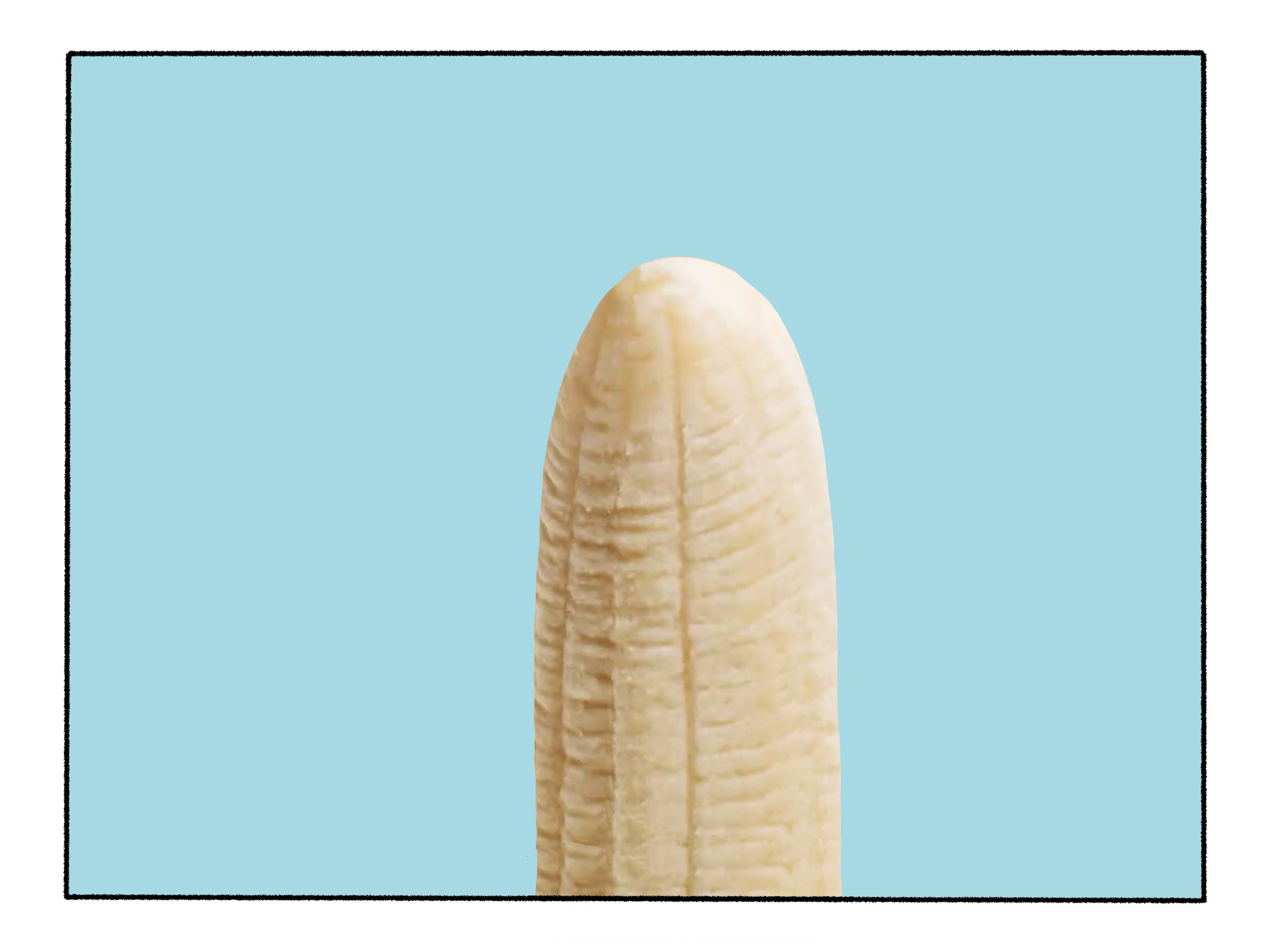 make sure the penis is erect 