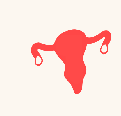 uterus