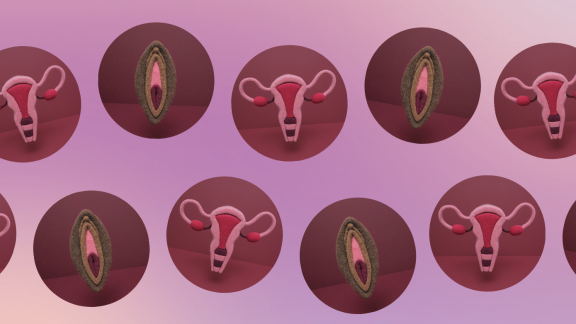 Uterus