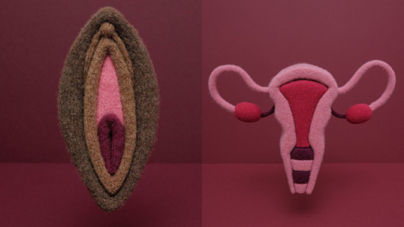 Knitted vulva and uterus