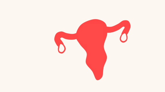 uterus