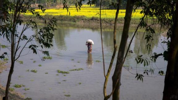 Floods in Belkuchi, Bangladesh
